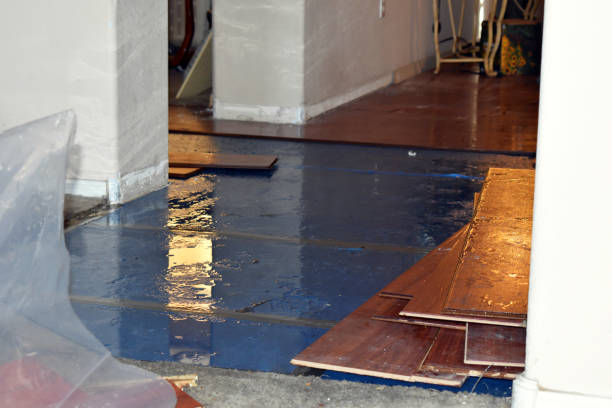 Professional Basement Flood Cleanup technician working in Steptoe, WA